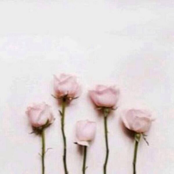 WjoodA's tweet photo. لـا الـّه الـٰىّ الـلّٰـه***** http://t.co/fRgskR2rM8