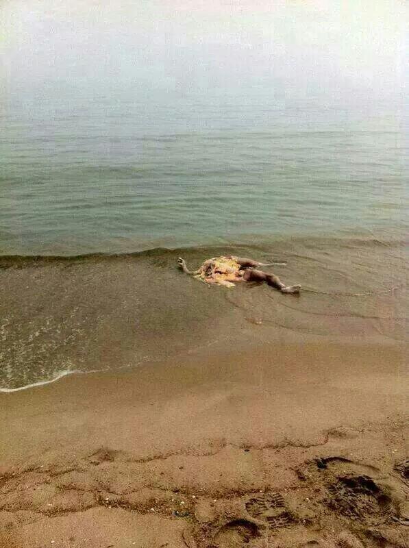 PASCUALCASANOVA's tweet photo. Otro más que lanzaron al agua(guardamar) http://t.co/mQEJahzt8F