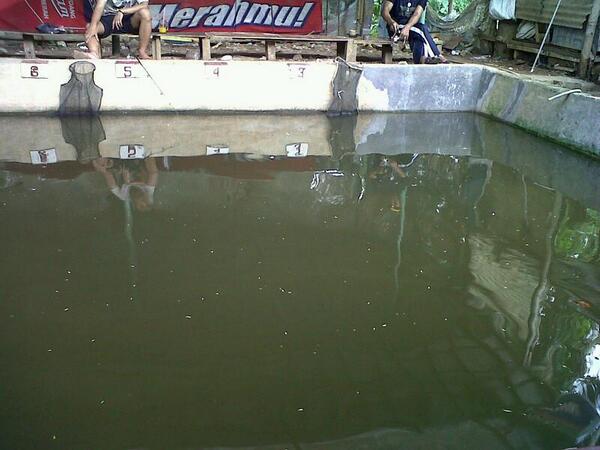 moel_koplaks's tweet photo. Pemula d empang dulu mas bos :) @ tony_binboen http://t.co/tu7opCjafS