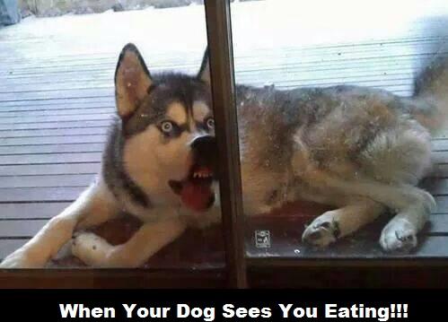 Ha Ha better leave him some left overs!!!!
ataclick.ie