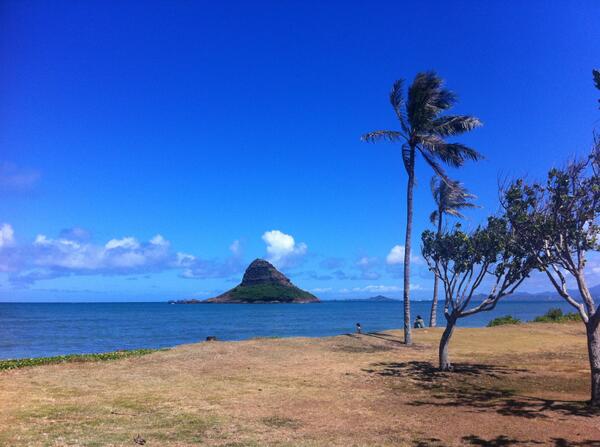 hawaii_ryugaku's tweet photo. クアロアビーチの沖合の無人島チャイナマンズハット。ハワイ語ではモコリイと呼ばれます。歩いて渡れるらしいですよ。 #ハワイ留学 #アメリカ留学 #FunAbroad #モコリイ https://t.co/ZWJtis11yq