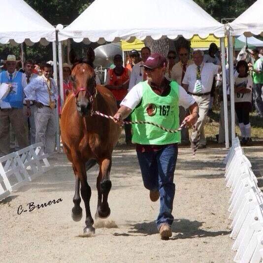 Jacob goldsmith (@jacob234153) on Twitter photo 