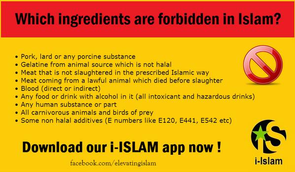 iIslamApp's tweet image. These are the ingredients which are forbidden in #islam on.fb.me/RSDOZp
 #quran #halal #iislamapp