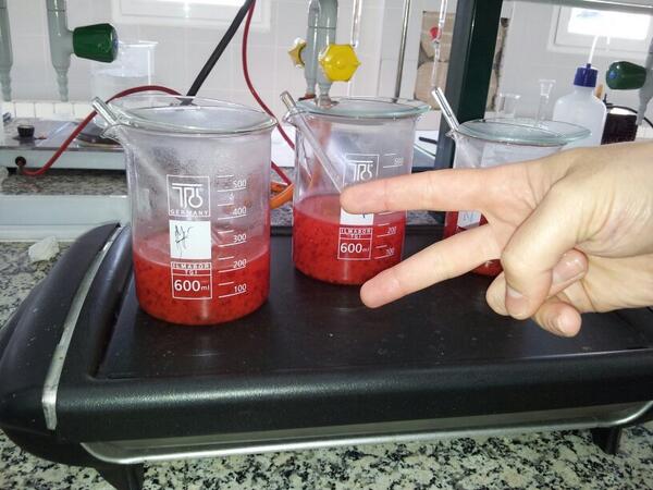 07Vanee's tweet photo. Tus dedos estropean mi foto. #dimetilglioximatodeniquel http://t.co/nwU4949fVD
