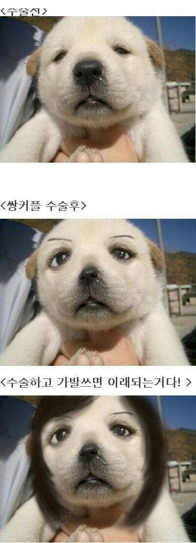 loveddcafe's tweet image. 개성형