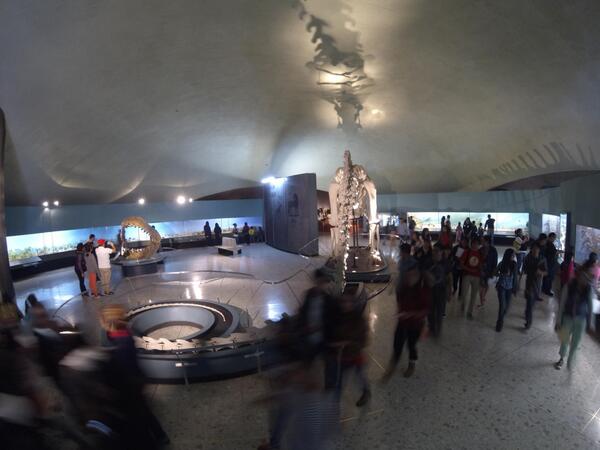 MHNCA_CDMX's tweet photo. Tigres,pandas,casuario,dinosaurios,mariposas y hasta un #ComunittyManager tenemos @MHNCA_CDMX.Visítenos. http://t.co/2oF0tcL2Cg