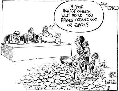 Via <a href="/afri_isaaa/">ISAAA_AfriCenter</a> About preference for organic This cartoon offers a good answer to her #KenyaGMOtaskforcepublichearing