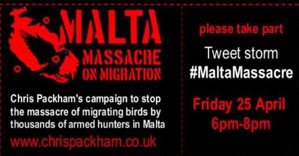 Please join our tweet storm #MaltaMassacre tonight 6-8pm to stop mass slaughter of birds. Please retweet