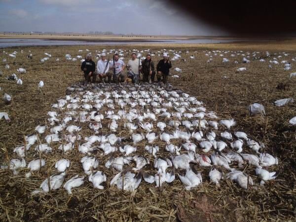 FDCalls's tweet image. Fun sitting in the snow spread the last couple days. 96 on Wednesday and 181 Thursday morning! #SpringSnows2014