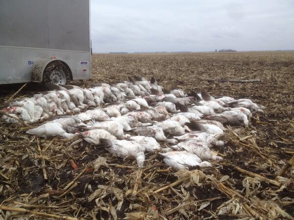 FDCalls's tweet image. Fun sitting in the snow spread the last couple days. 96 on Wednesday and 181 Thursday morning! #SpringSnows2014