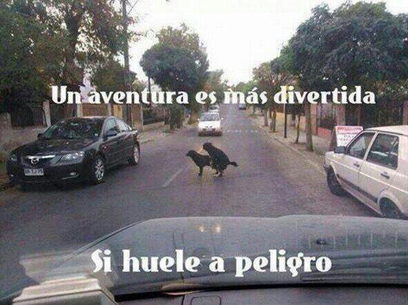 Jhonatan 🇻🇪 tweet media