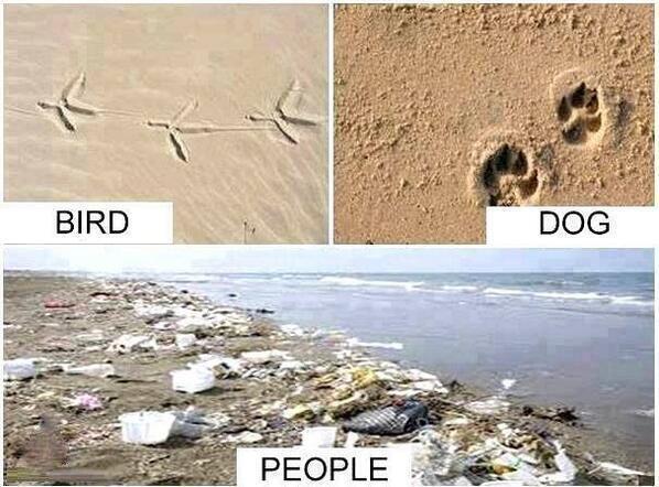 Ecogranjero's tweet photo. Esas huellas tan particulares e inconfundibles..... http://t.co/DuN4zXCov1
