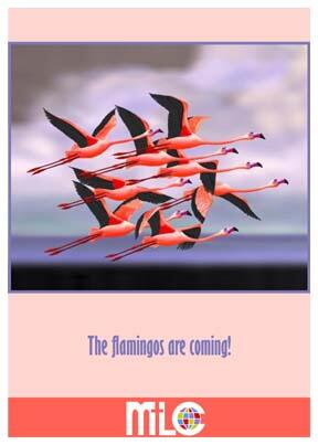 MtkaLutheran's tweet image. Flamingo Flocking - youth fundraiser. $25 can flock another member's yard for 1 week. Flamingo insurance is $75.