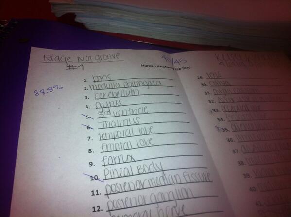 kelsey_grace71's tweet image. Probs the best 2 things I've seen all day!!  #pitchperfect2 #labpractical #AP1