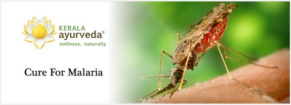 Cure for Malaria  Today is World Malaria Day!   Malaria can be prevented. Let's know how. ayurvedaacademy.com/blogs/cure-mal…