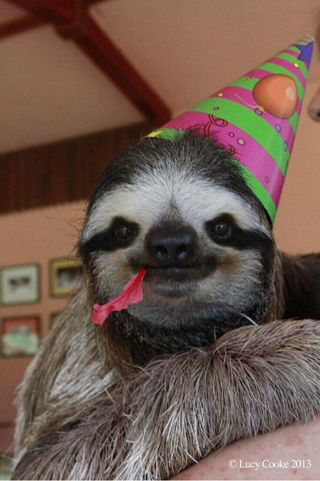 😩 I'm tryna get shit faced like this tonight ! 😂😭 RT @flirtezyHD: @iAmShayBrown HBD http://t.co/KNry<a href="/tag/np"class="tags"><span>#np</span></a>