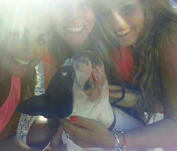 irispeset_r's tweet photo. Tardes con sol y Dexter ♥ @aalba_p @Sargogar http://t.co/DgW3ZQgWFx