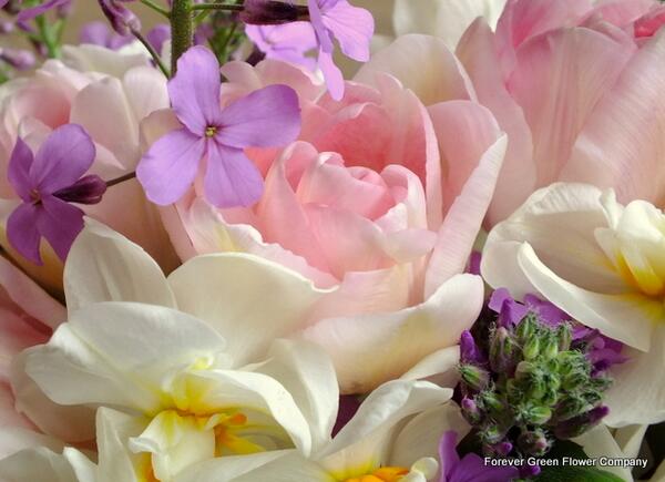 fgflowers tweet picture