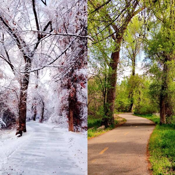 #SeasonalChanges so fun :) I love how beautiful the winter set was... But I'm so ready for the spring green 😊💚💚💚💚💚