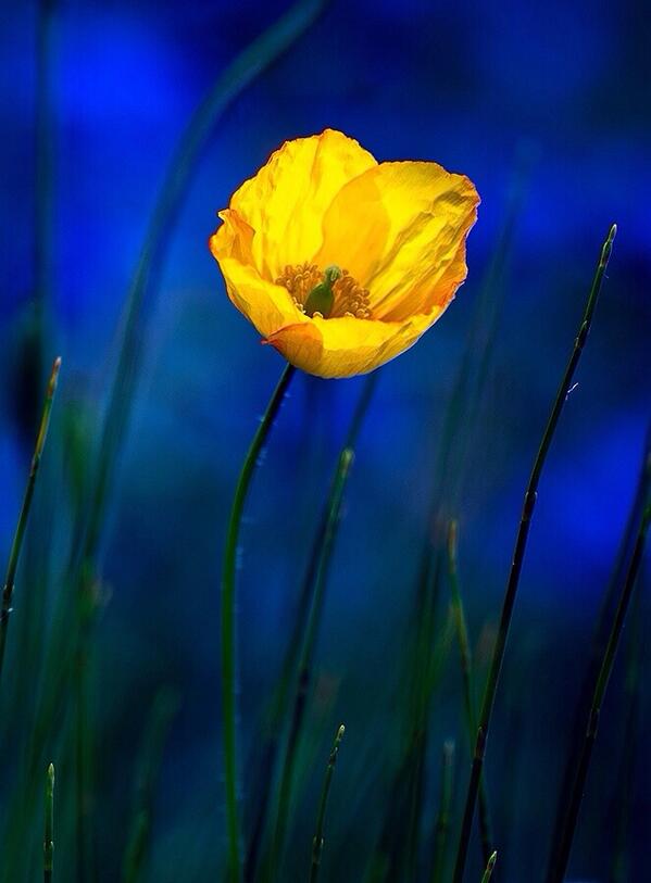 VincentL40's tweet image. “@Elverojaguar: http://t.co/7qm0jrJnAT”