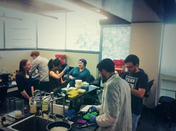 idtdna's tweet image. MT @Synbiota @Penn #scienceHack'rs have some great builds going on! @idtdna @genomikon @genspacenyc