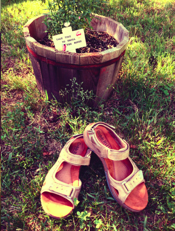 CobbHillShoes tweet picture