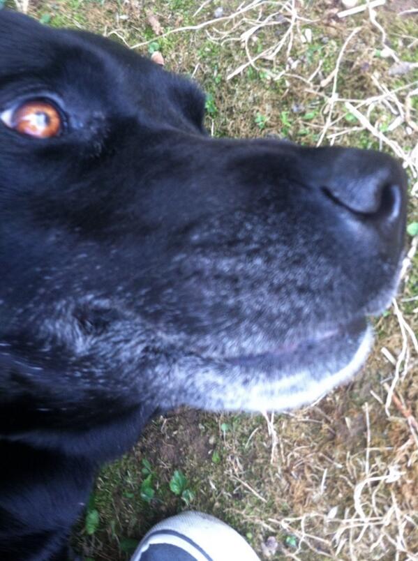 Josephcox101's tweet photo. Pow wow http://t.co/EzLlXPyCQP
