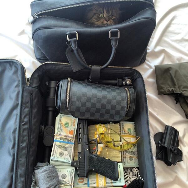 Dan Bilzerian tweet media