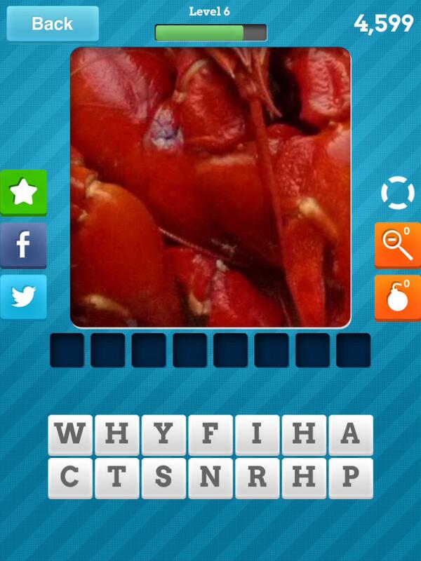 katien2300's tweet photo. Can anyone guess what this close up is of? #CloseUpPics for iOS: http://t.co/7m9dBQYw6b http://t.co/xHLWSzWfkZ