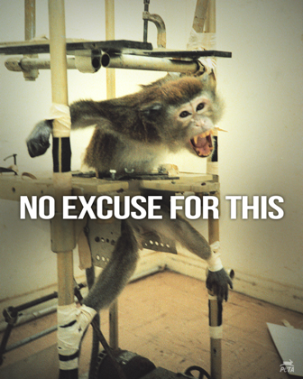 peta's tweet photo. If not stopped, @AirFrance will ship 1000s of monkeys 2 US labs THIS YEAR.

STOP THEM: http://t.co/JbYUsBMCJF #WW4AIL http://t.co/4SBujvS7MS