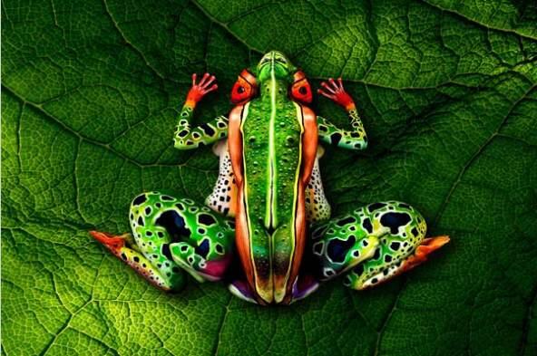 DelinquedIN's tweet photo. ¿En serio crees que estas viendo una Rana?. 

Esto se llama Arte corporal. ¿Adivina cuantas personas ves en la foto? http://t.co/TEbi3oXJdA
