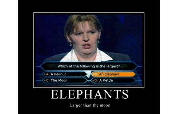 WillFerrell194 tweet picture