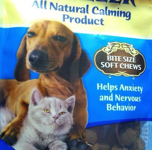 MeredithFrost's tweet photo. Look how calm they look http://t.co/RugqiUgqJy http://t.co/FRgPNemwNp