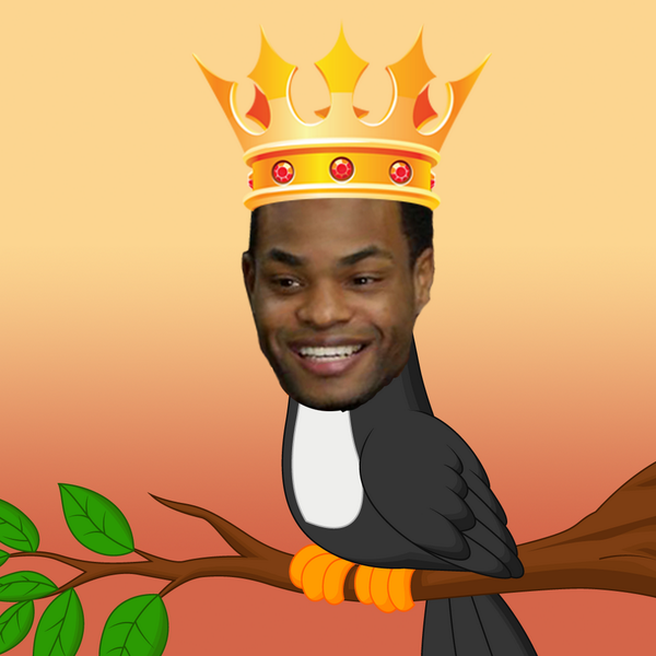 KingBachBird tweet picture