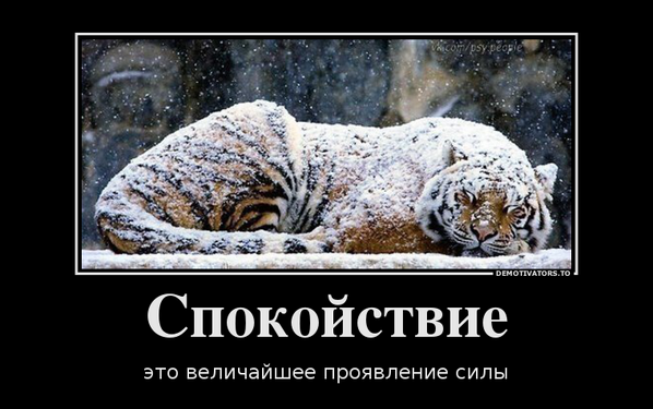 Спокойствие это величайшее проявление. Мотиватор спокойствие. Сила спокойствия. Спокойствие величайшее проявление силы картинки. Спокойствие проявление силы.