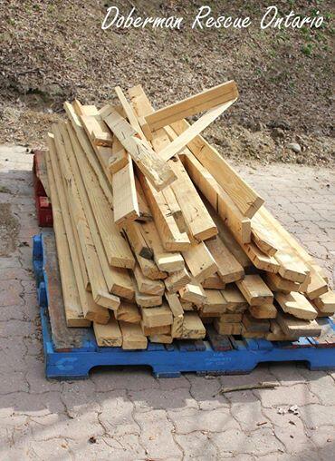 DobermanRescue's tweet photo. Thanks @JG_Drapeau, a company that has always shown support. We received a donation of wood for various projects. http://t.co/Lu1jtsqJd0