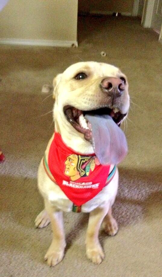 Embedded image permalink