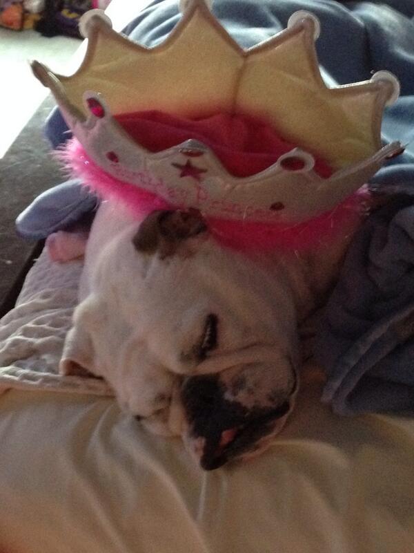 Another great qtr in the books! Long week but best team ever at @KBZcom.  Roxee has it right!