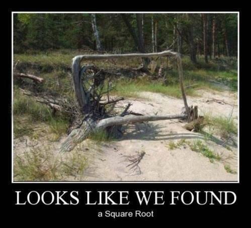 Funny_Math's tweet image. 