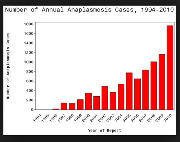 lyme_recovery's tweet image. 1800 in a YEAR? There&apos;s no way I&apos;m that rare @CDCgov #GrosslyUnderreported #Anaplasma #Anaplasmosis #TBI #TBD