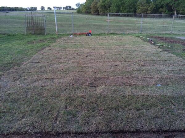 Kyle Livesay tweet media