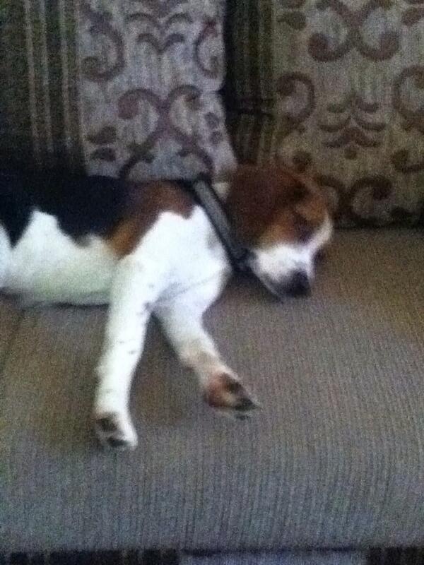 Good Night Everyone!