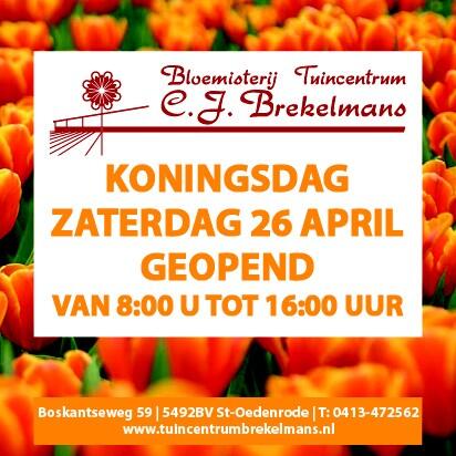TcBrekelmans's tweet photo. Zomerbloemen bij Brekelmans http://t.co/WkcCBdfdGq