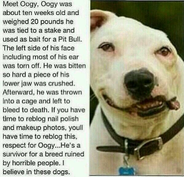 FunnyQuotees's tweet photo. Messed up world we live in http://t.co/IJW9kwnzY7
