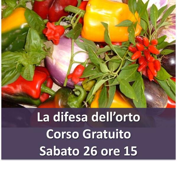 Garden Il Trifoglio tweet media