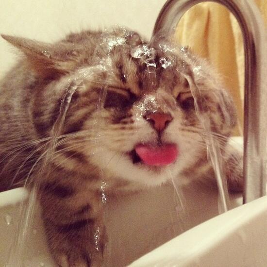 _Paisajes_'s tweet photo. Beber agua de la forma mas dificil. http://t.co/yQtBF748O5