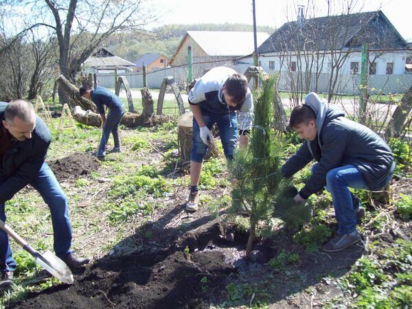 <a href="/BogadmGlava/">BogadmGlava</a> Субботник 26.04.2014. Посажено 14 деревьев на пришкольной территории