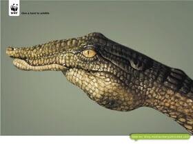 RotaractCafetal's tweet image. Somos parte del medio ambiente, el medio ambiente es parte de nosotros, cuidémoslo! #AbrildeTierra