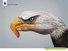 RotaractCafetal's tweet image. Somos pequeñas partes de un mismo todo, inmenso y maravilloso llamado Tierra #AbrildeTierra