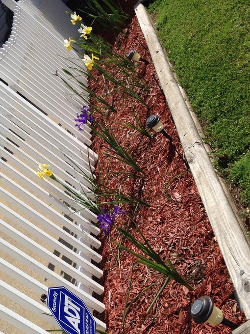 Spring is in the bloom! http://t.co/qOFwBh5Naj